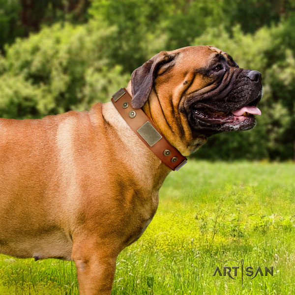 Bullmastiff walking dog collar of flexible leather