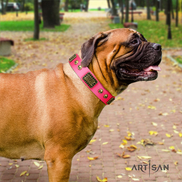 Bullmastiff basic training dog collar of fashionable genuine leather