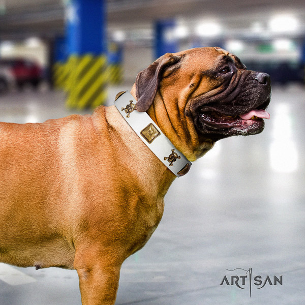 Bullmastiff fancy walking full grain genuine leather collar with decorations for your dog