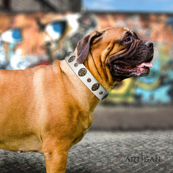 Bullmastiff everyday walking genuine leather collar with adornments for your dog