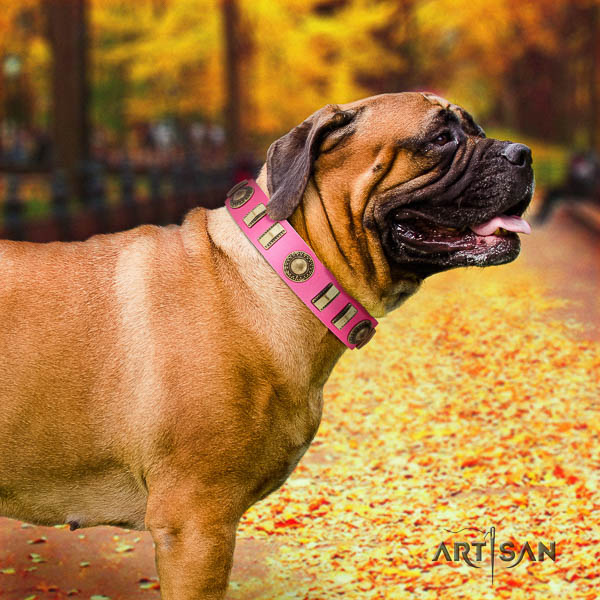 Bullmastiff everyday use full grain leather collar with embellishments for your pet
