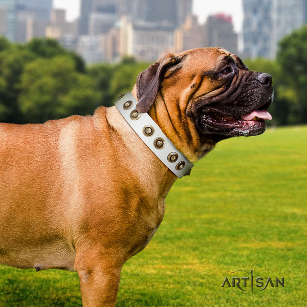 Bullmastiff easy wearing full grain natural leather collar with adornments for your canine