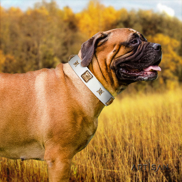 Bullmastiff stylish walking natural leather collar with studs for your pet