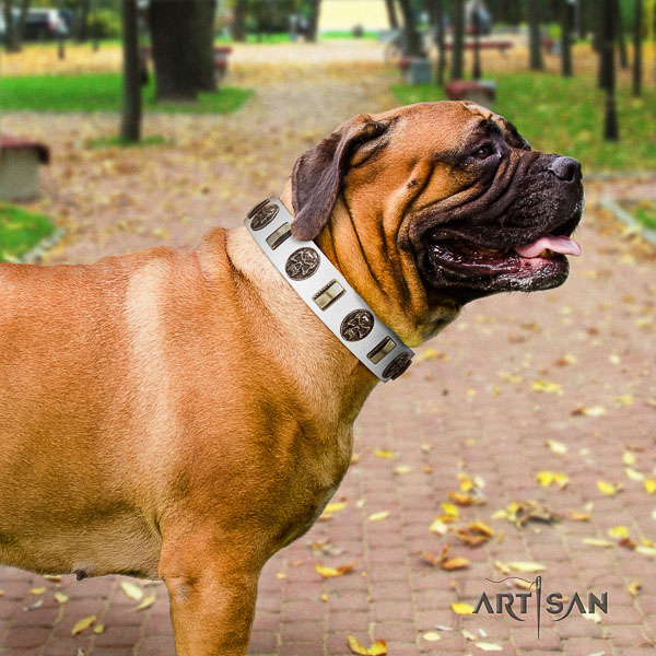 Bullmastiff easy wearing leather collar with adornments for your canine