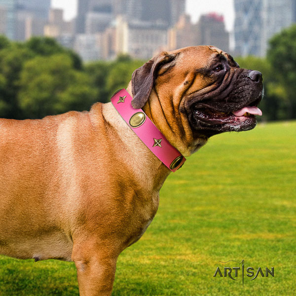 Bullmastiff comfortable wearing full grain natural leather collar with embellishments for your doggie