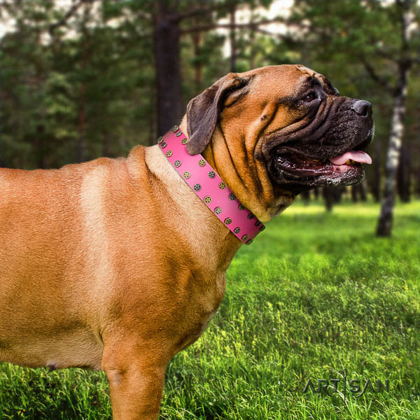 Bullmastiff comfortable wearing full grain natural leather collar with studs for your doggie