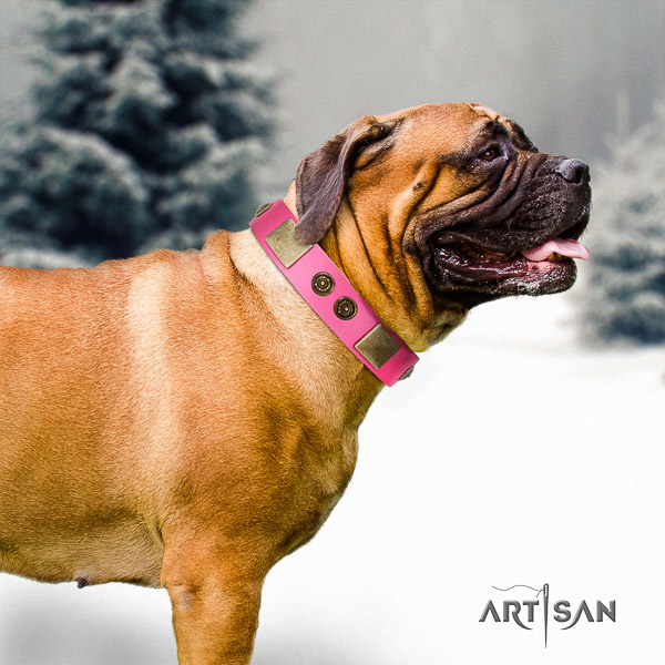Bullmastiff daily use full grain natural leather collar with embellishments for your four-legged friend