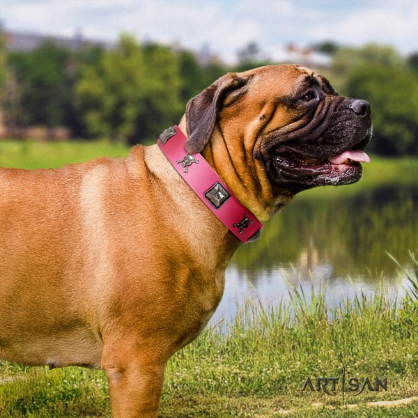 Bullmastiff full grain leather dog collar with studs for your lovely canine
