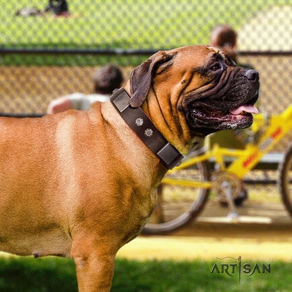 Bullmastiff exquisite full grain genuine leather collar with embellishments for your pet