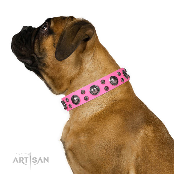 Bullmastiff best quality natural genuine leather dog collar for basic training