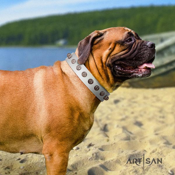 Bullmastiff perfect fit full grain leather collar with adornments for your pet