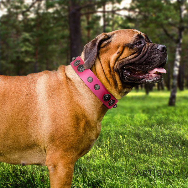 Bullmastiff inimitable genuine leather collar with studs for your pet