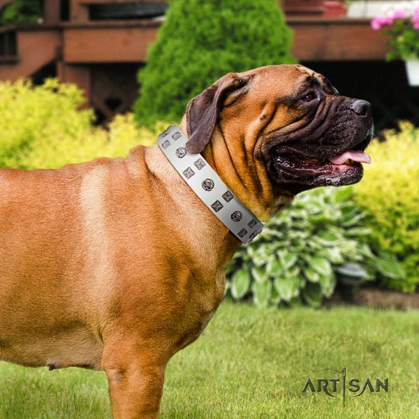 Bullmastiff adjustable genuine leather collar with studs for your pet