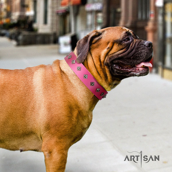 Bullmastiff top notch full grain genuine leather collar with studs for your dog