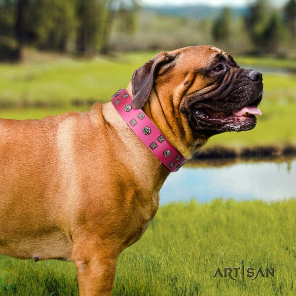 Bullmastiff unusual leather collar with studs for your doggie