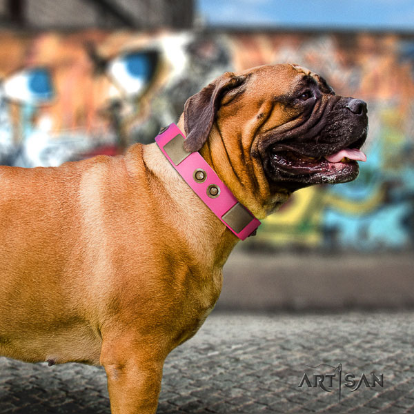 Bullmastiff fancy walking full grain natural leather collar with embellishments for your pet