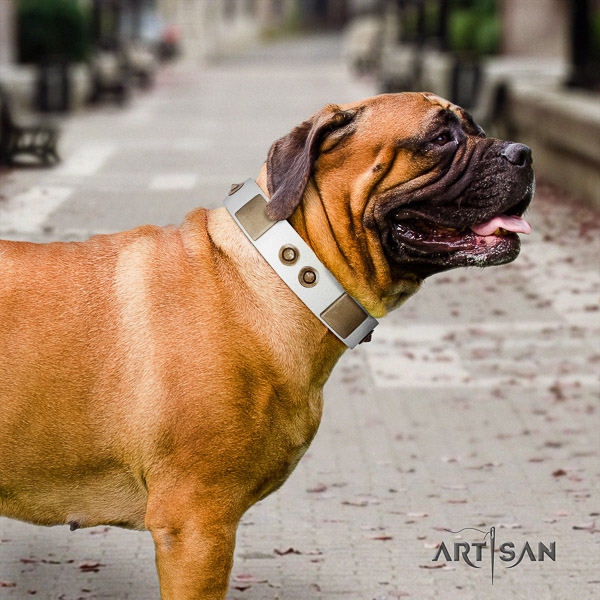 Bullmastiff handy use genuine leather collar with studs for your canine