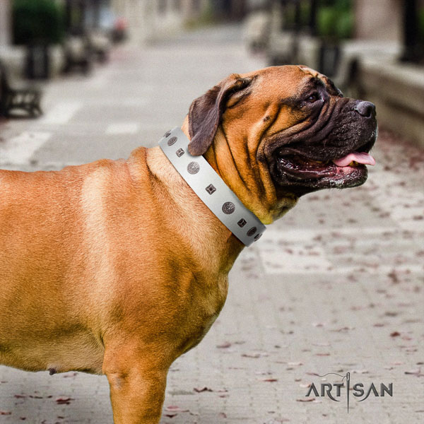 Bullmastiff easy wearing leather collar with embellishments for your dog