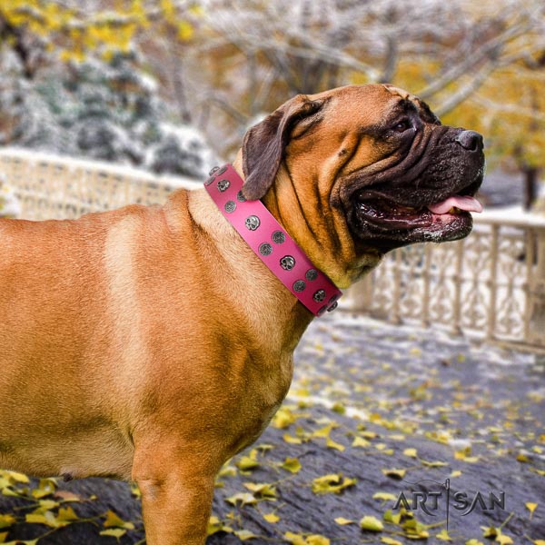 Bullmastiff stylish full grain genuine leather collar with studs for your canine