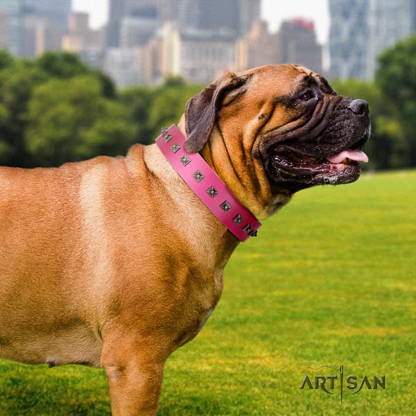 Bullmastiff stylish design genuine leather collar with adornments for your four-legged friend