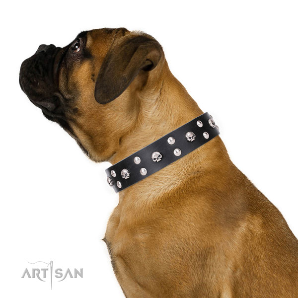 Bullmastiff handcrafted full grain natural leather dog collar for comfortable wearing