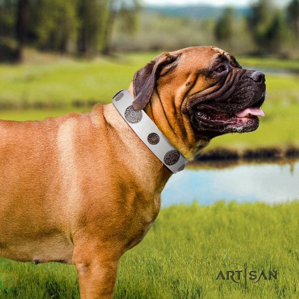 Bullmastiff full grain genuine leather dog collar with adornments for your stylish doggie