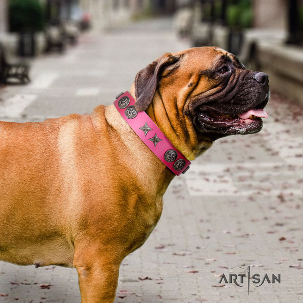 Bullmastiff unusual full grain leather collar with adornments for your pet