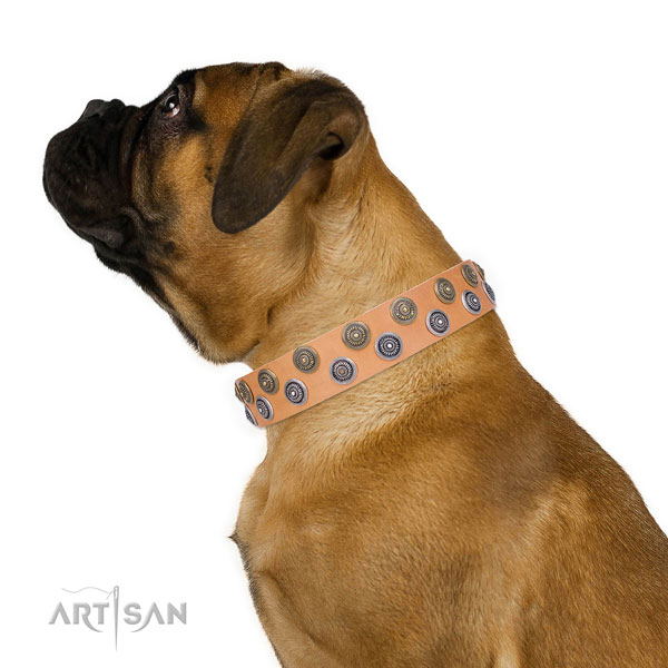Bullmastiff designer full grain genuine leather dog collar for everyday use