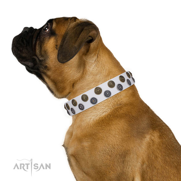 Bullmastiff exceptional full grain natural leather dog collar for basic training