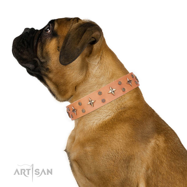 Bullmastiff comfortable full grain leather dog collar for fancy walking