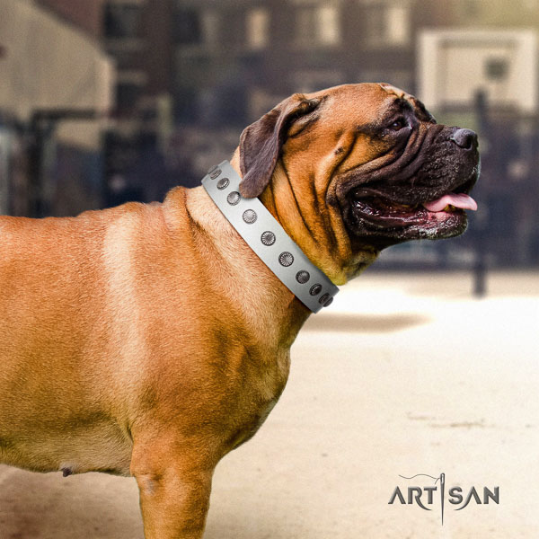 Bullmastiff easy wearing full grain genuine leather collar with adornments for your dog