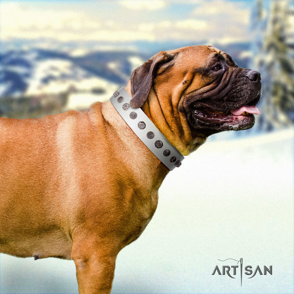 Bullmastiff incredible full grain natural leather collar with embellishments for your dog