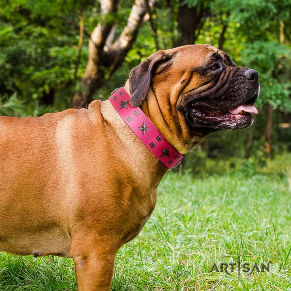 Bullmastiff fine quality full grain natural leather collar with adornments for your dog