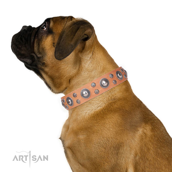 Bullmastiff unique full grain leather dog collar for daily use