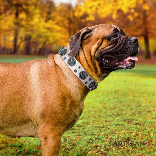 Bullmastiff inimitable genuine leather collar with studs for your canine