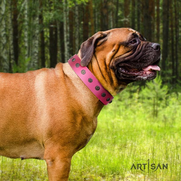 Bullmastiff easy to adjust genuine leather collar with studs for your dog
