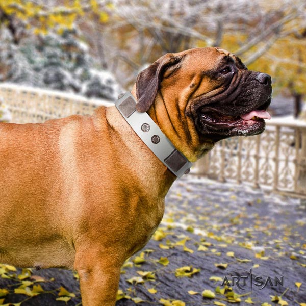 Bullmastiff convenient leather collar with adornments for your canine