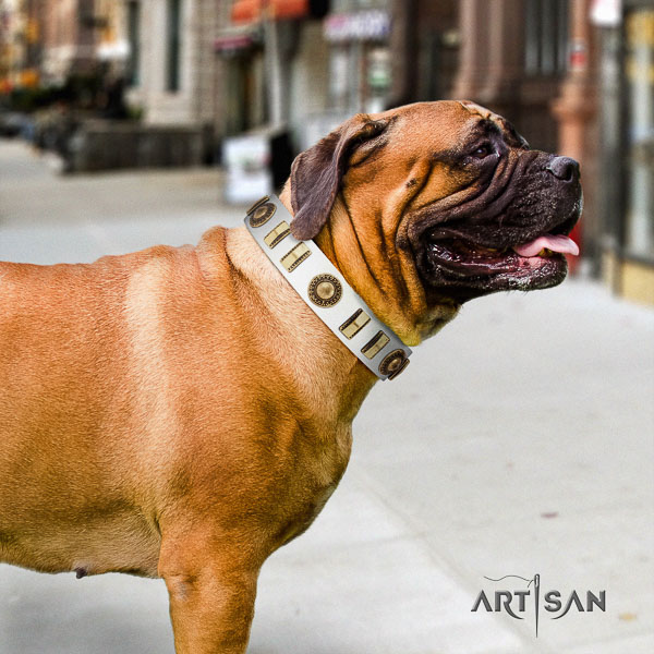 Bullmastiff basic training full grain leather collar with studs for your dog