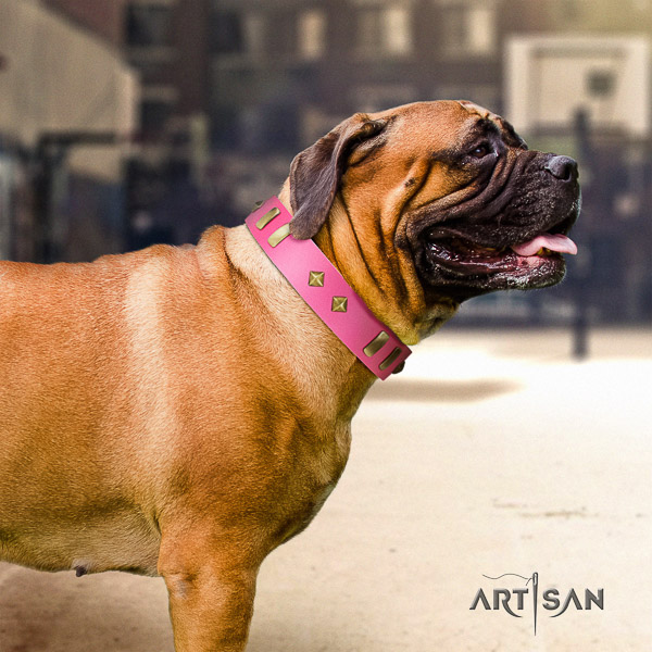 Bullmastiff daily walking full grain natural leather collar with adornments for your doggie