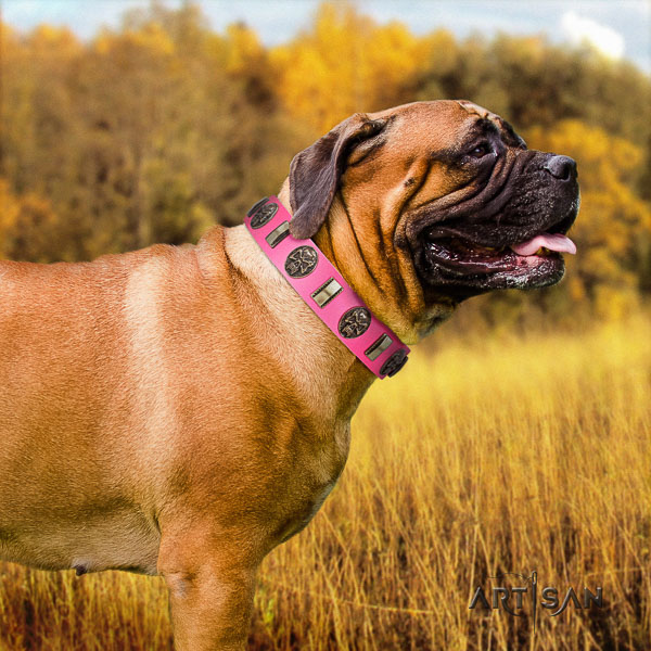 Bullmastiff everyday walking natural leather collar with adornments for your pet