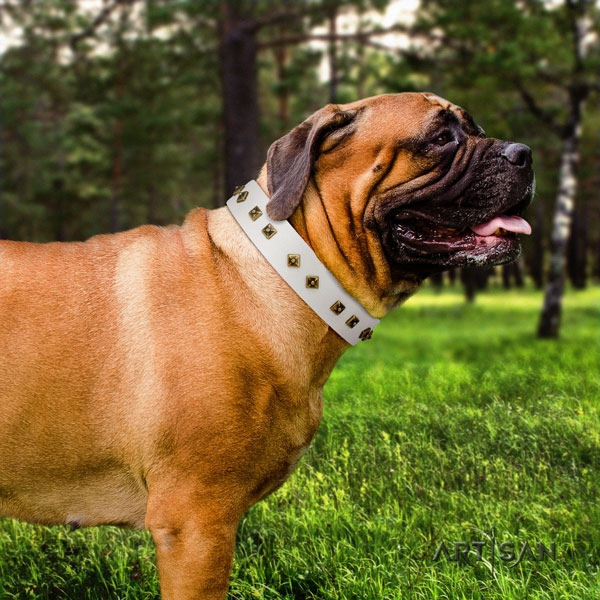 Bullmastiff fancy walking dog collar of significant quality leather