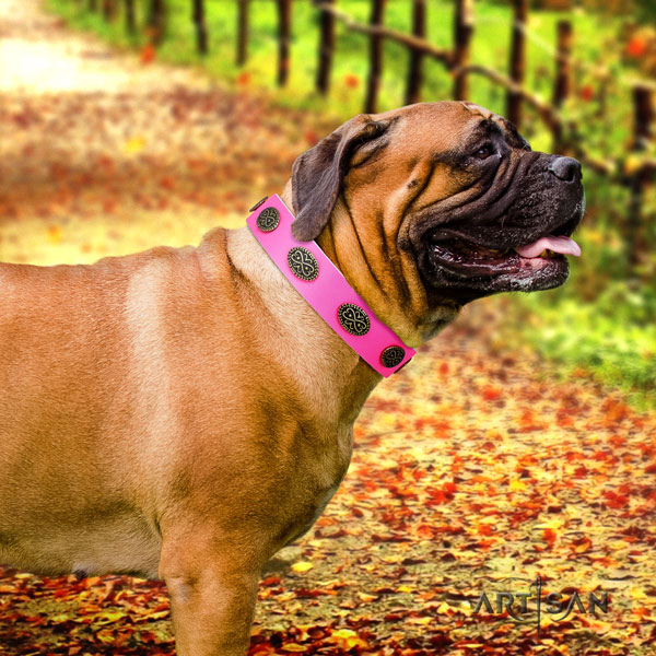 Bullmastiff comfy wearing dog collar of top notch quality leather