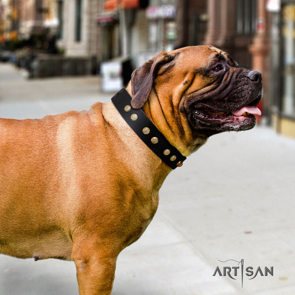 Bullmastiff everyday use dog collar of fine quality natural leather