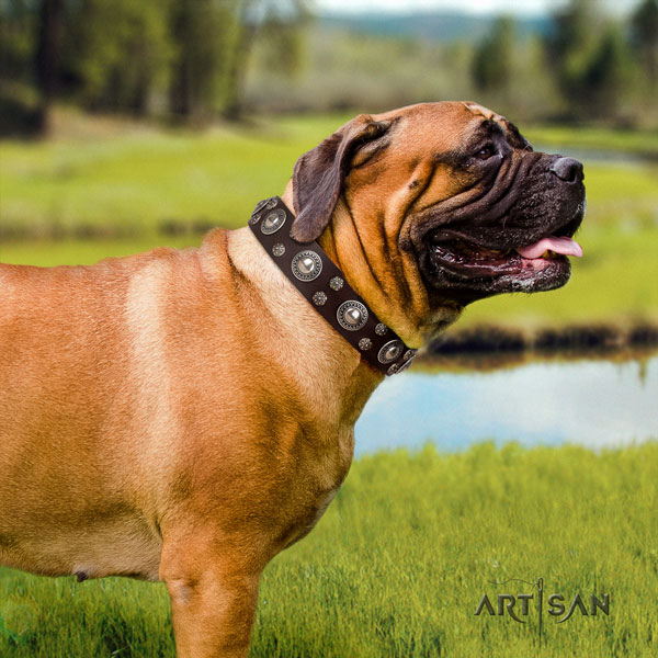 Bullmastiff easy wearing dog collar of incredible quality natural leather