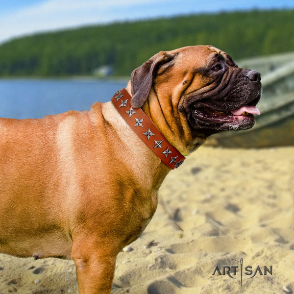 Bullmastiff stylish walking dog collar of best quality natural leather