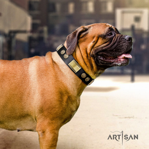 Bullmastiff basic training dog collar of stylish leather