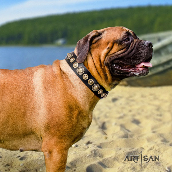 Bullmastiff basic training dog collar of remarkable quality leather