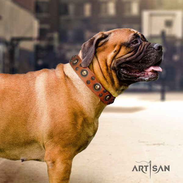 Bullmastiff comfortable wearing dog collar of incredible quality natural leather