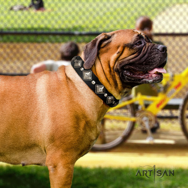 Bullmastiff handy use dog collar of comfortable leather