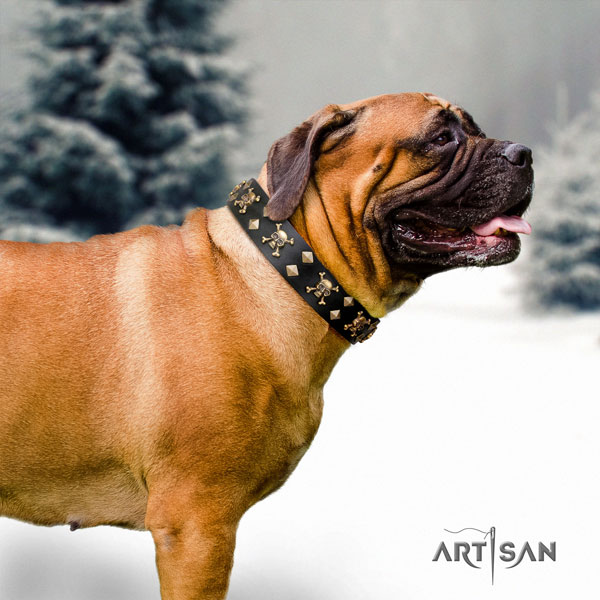 Bullmastiff everyday use dog collar of best quality genuine leather